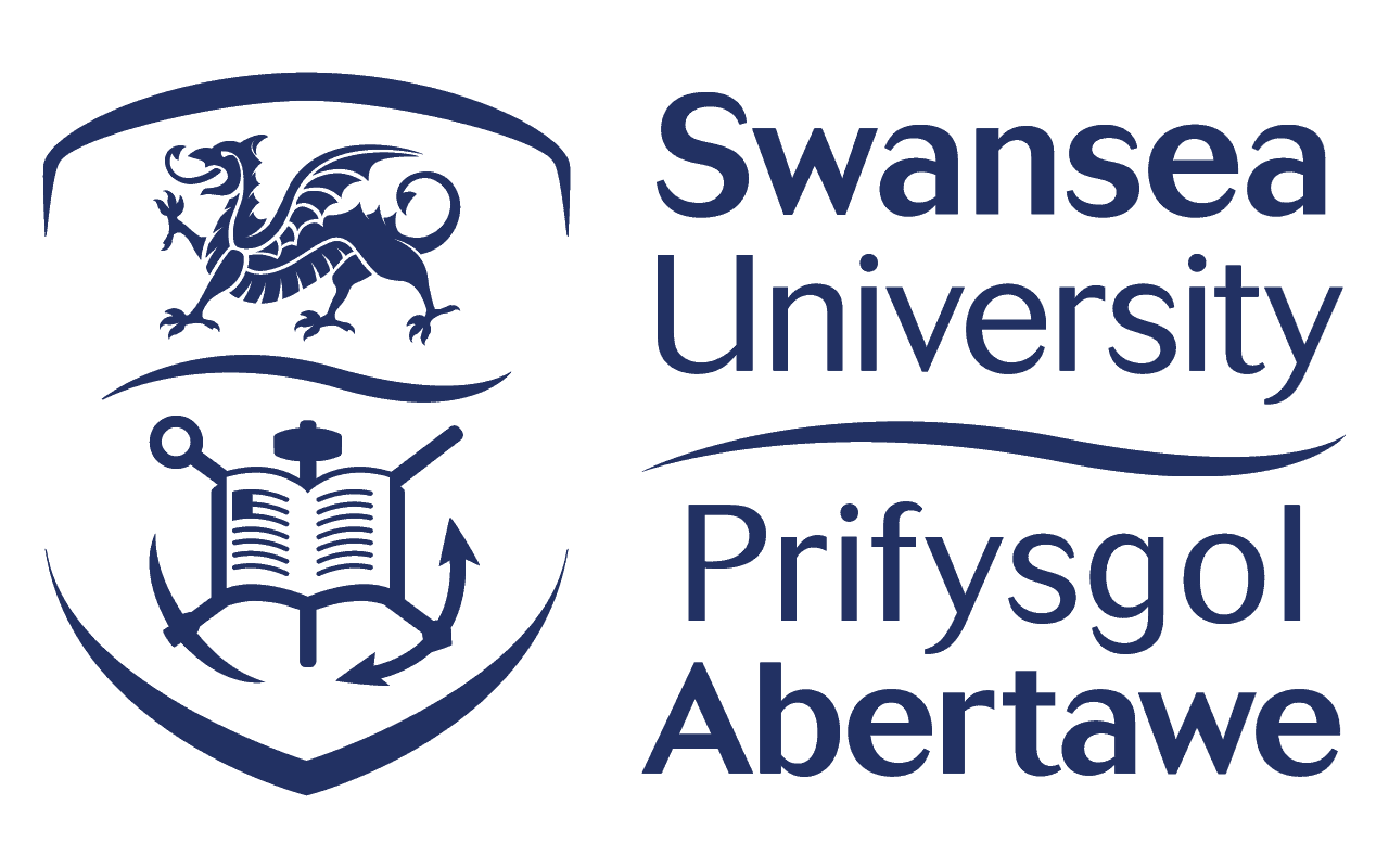 Swansea University
